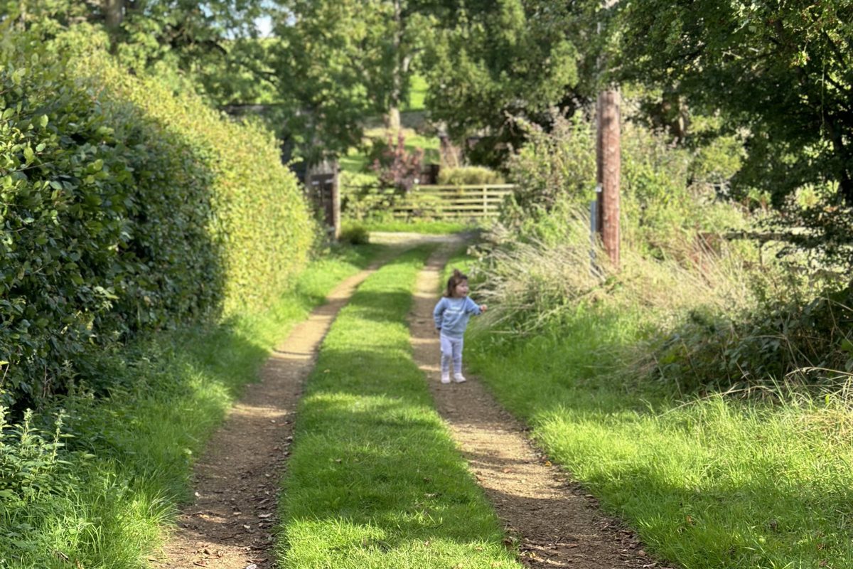 Great Tew, Golden Valley
