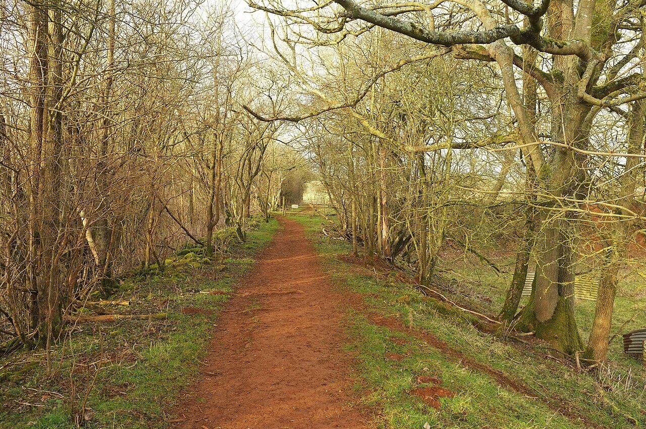 The Park