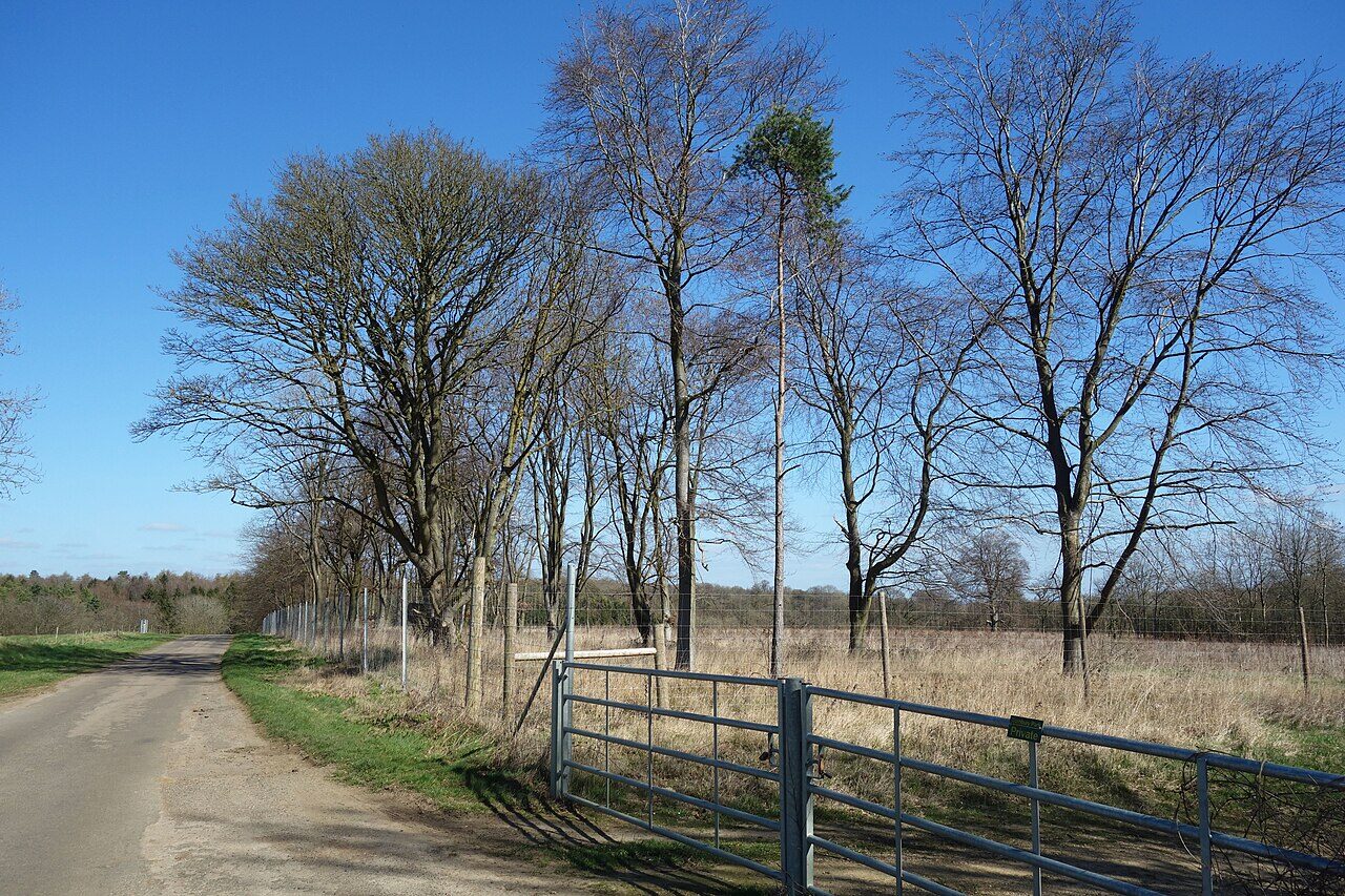 Charlbury & Wychwood Forest